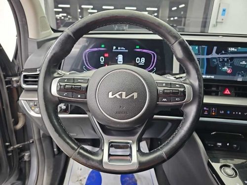 Kia Sportage 5th Gen (NQ5) 2.0 Diesel 2WD Noblesse photo 9