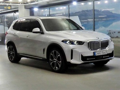 BMW X5 (G05) xDrive 40i xLine