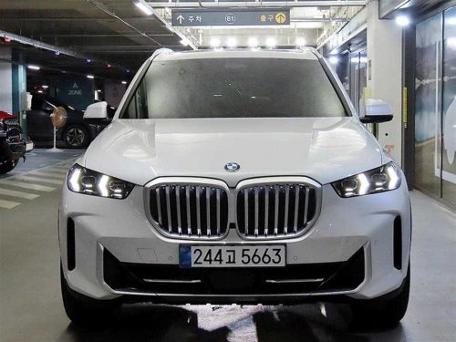 BMW X5 (G05) xDrive 40i xLine 사진 2
