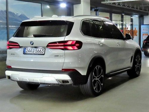 BMW X5 (G05) xDrive 40i xLine 사진 4