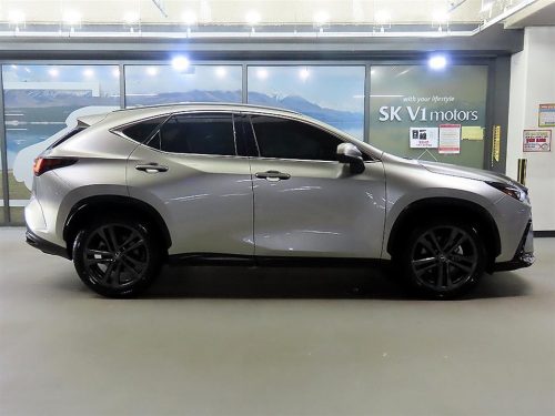 렉서스 NX 350h 프리미엄 사진 3