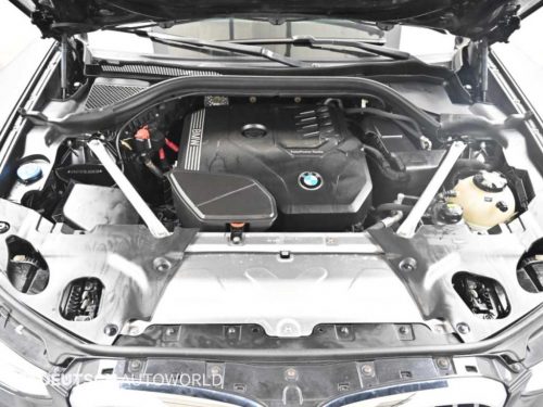 BMW X4 (G02) xDrive 20i M 스포츠 X 사진 6