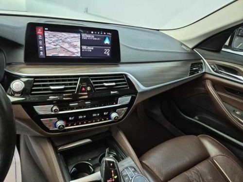 BMW 5시리즈 (G30) 520d 럭셔리 플러스 사진 10
