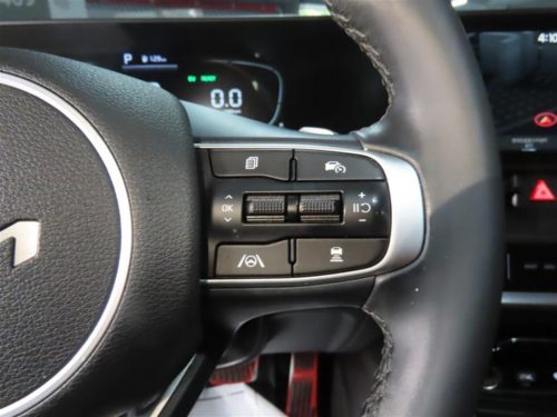 Kia Sportage 5th Gen Hybrid (NQ5) 1.6 Turbo HEV 2WD Noblesse Gravity photo 11