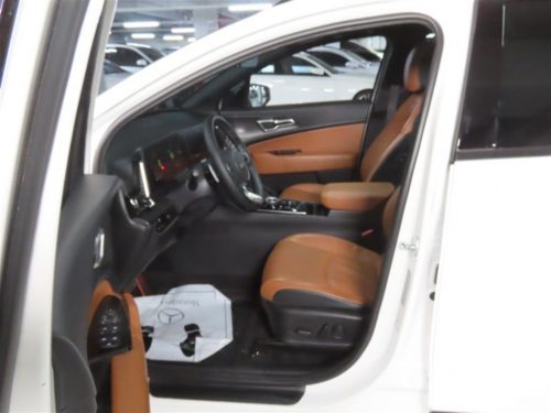 Kia Sportage 5th Gen Hybrid (NQ5) 1.6 Turbo HEV 2WD Noblesse Gravity photo 13