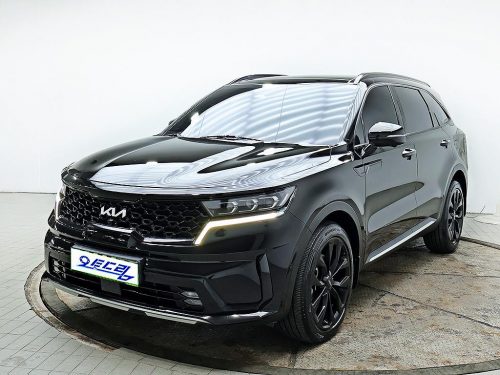 Kia Sorento 4th Gen(MQ4) Diesel 2.2 2WD Gravity photo 2