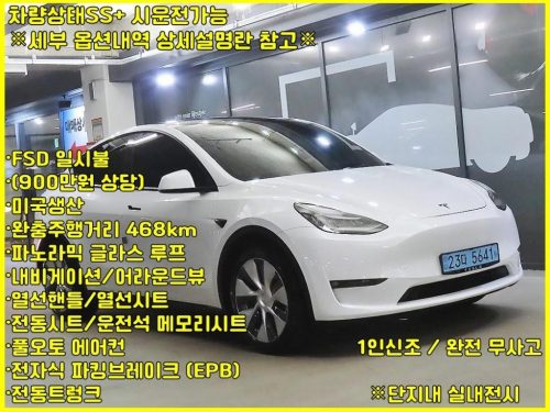 테슬라 모델 Y 롱 레인지