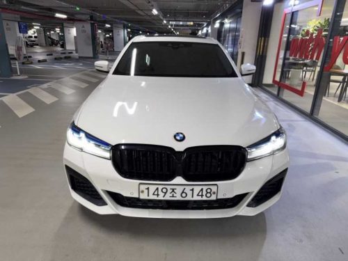 BMW 5시리즈 (G30)