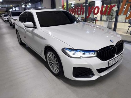 BMW 5시리즈 (G30) 520i 럭셔리 사진 2
