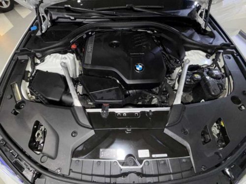 BMW 5시리즈 (G30) 520i 럭셔리 사진 19