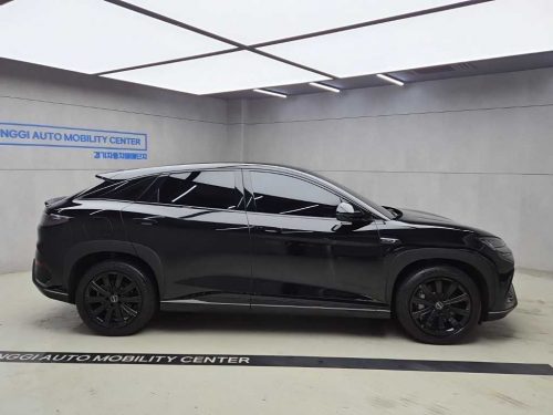 BYD 씨라이언 7 베이스 사진 2