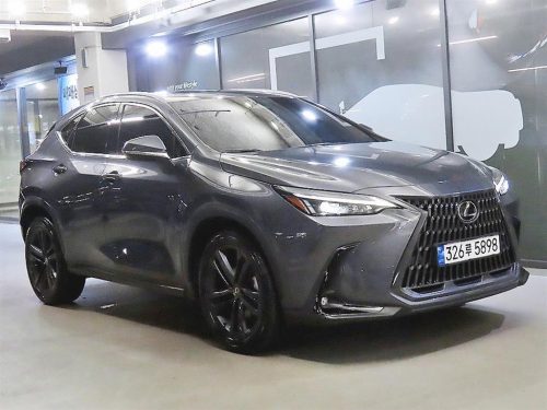 렉서스 NX 350h 프리미엄