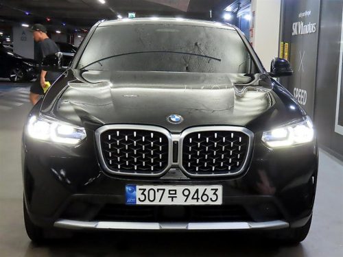 BMW X4 (G02) xDrive 20i xLine 사진 2
