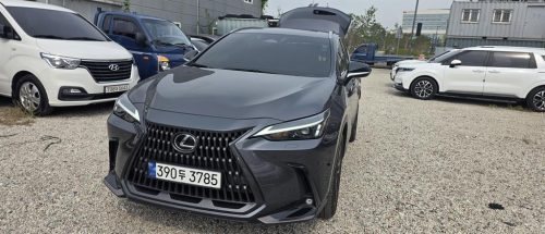 렉서스 NX 350h 프리미엄