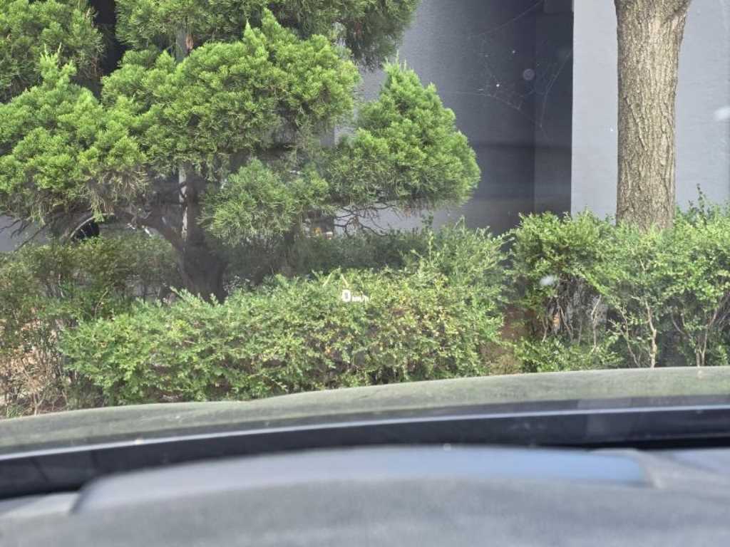 차량사진 7
