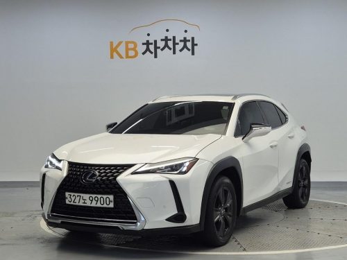 렉서스 UX 250h 2.0 2WD