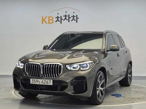 BMW X5 (G05) xDrive 40i M 스포츠