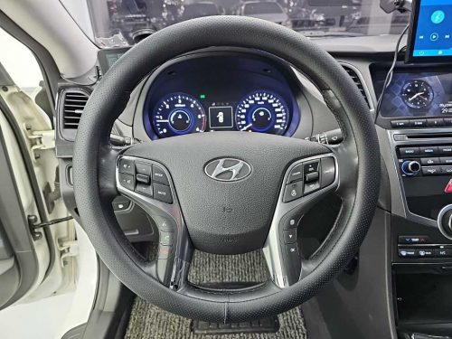 현대 그랜저 HG HG220 PREMIUM 사진 9
