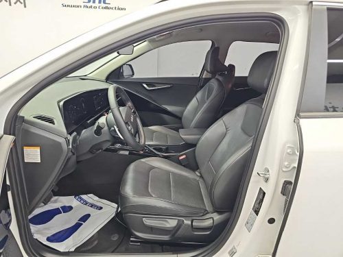 Kia The All New Niro EV Air photo 11