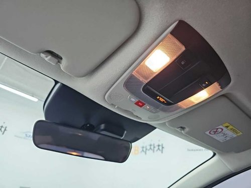 Kia The All New Niro EV Air photo 16