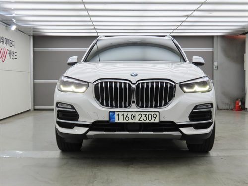 BMW X5 (G05) xDrive 30d xLine 사진 2
