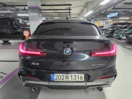 BMW X4 (G02) xDrive 20d M 스포츠 사진 2