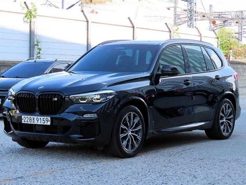 BMW X5 (G05) xDrive 30d M 스포츠