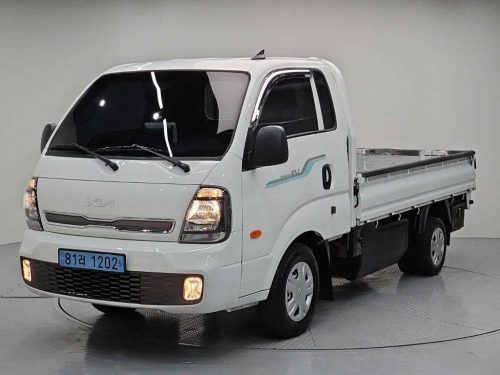 소형화물 [카고]봉고3 (EV) 1.0톤 킹캡 초장축 2WD