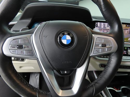 BMW X7 (G07) xDrive 40i 디자인 퓨어 엑셀런스 6인승 사진 9