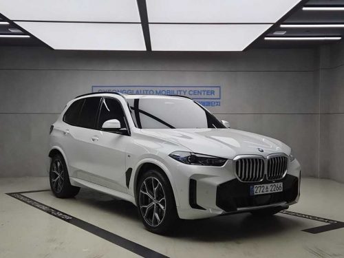 BMW X5 (G05) xDrive 40i M 스포츠