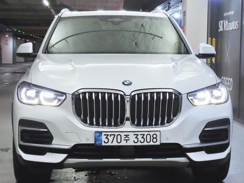 BMW X5 (G05) xDrive 40i xLine 사진 2