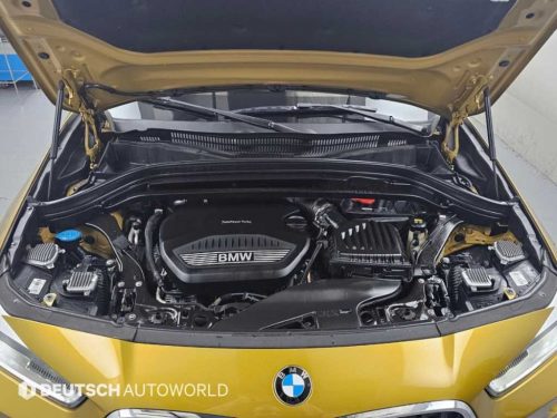 BMW X2 (F39) xDrive 20d M 스포츠 사진 6