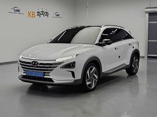현대 넥쏘 프리미엄
