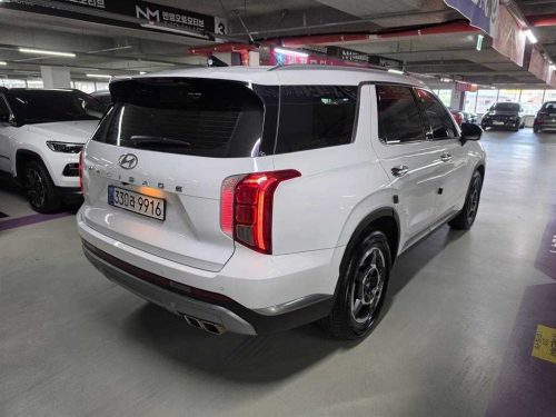 Hyundai The New Palisade Diesel 2.2 2WD Exclusive photo 6