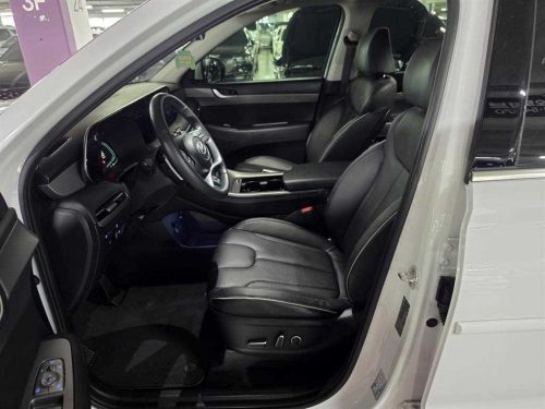 Hyundai The New Palisade Diesel 2.2 2WD Exclusive View All Photos