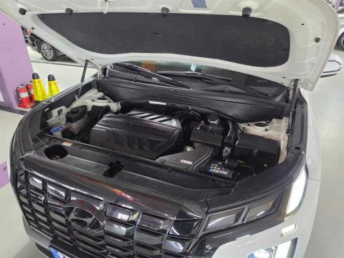 Hyundai The New Palisade Diesel 2.2 2WD Exclusive photo 17