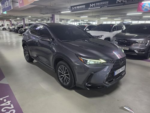 렉서스 NX 450h+ 프리미엄