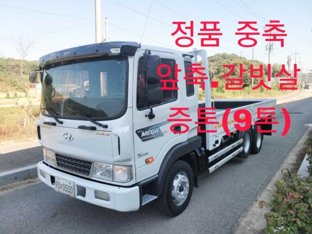 중대형화물 카고(4.5~5톤) 메가트럭5톤 사진 1