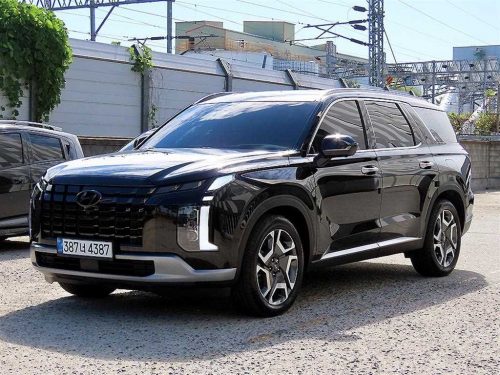 현대 더 뉴 팰리세이드 디젤 2.2 4WD 사진 2