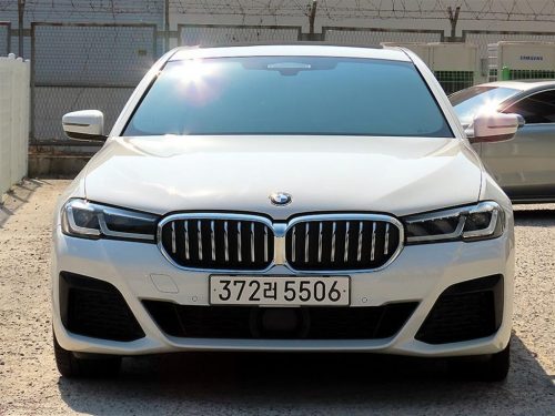 BMW 5시리즈 (G30) 530i xDrive M 스포츠