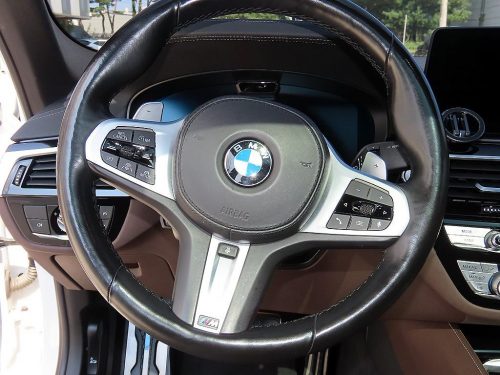 BMW 5시리즈 (G30) 530i xDrive M 스포츠 사진 8