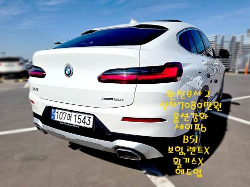 BMW X4 (G02) xDrive 20i xLine 사진 2