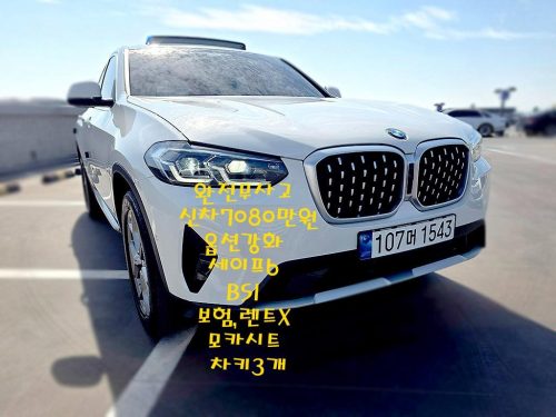 BMW X4 (G02) xDrive 20i xLine 사진 3