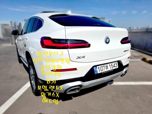 BMW X4 (G02) xDrive 20i xLine 사진 4