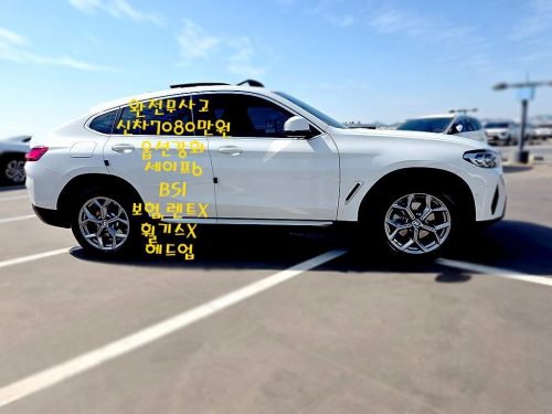 BMW X4 (G02) xDrive 20i xLine 사진 5