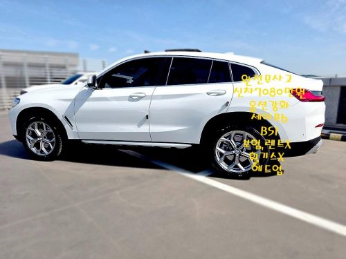 BMW X4 (G02) xDrive 20i xLine 사진 6