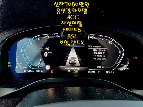 BMW X4 (G02) xDrive 20i xLine 사진 8