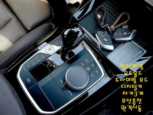 BMW X4 (G02) xDrive 20i xLine 사진 17
