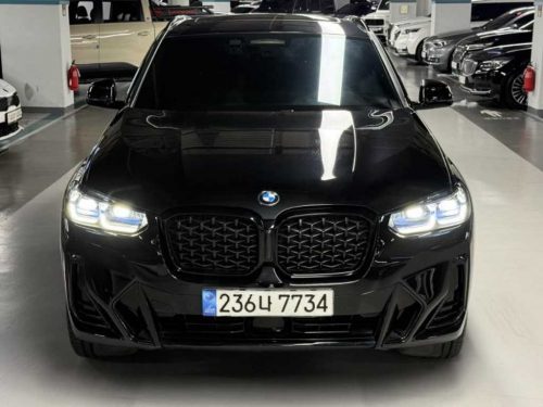 BMW X4 (G02) xDrive 20i M 스포츠 프로