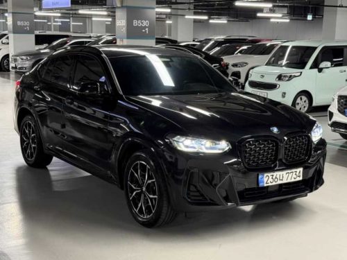 BMW X4 (G02) xDrive 20i M 스포츠 프로 사진 3